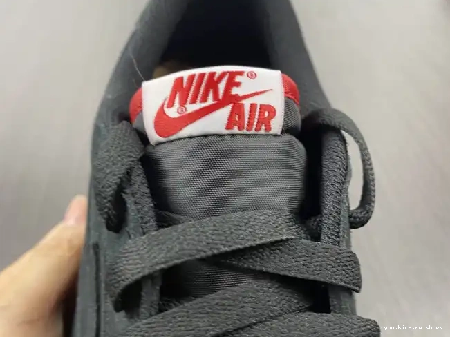 Carnivore DN3400-001 1 Jordan x Low Air SoleFly 0430